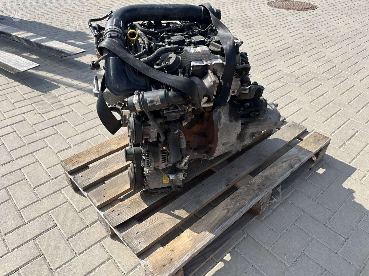 Ford B-MAX Tik variklis
