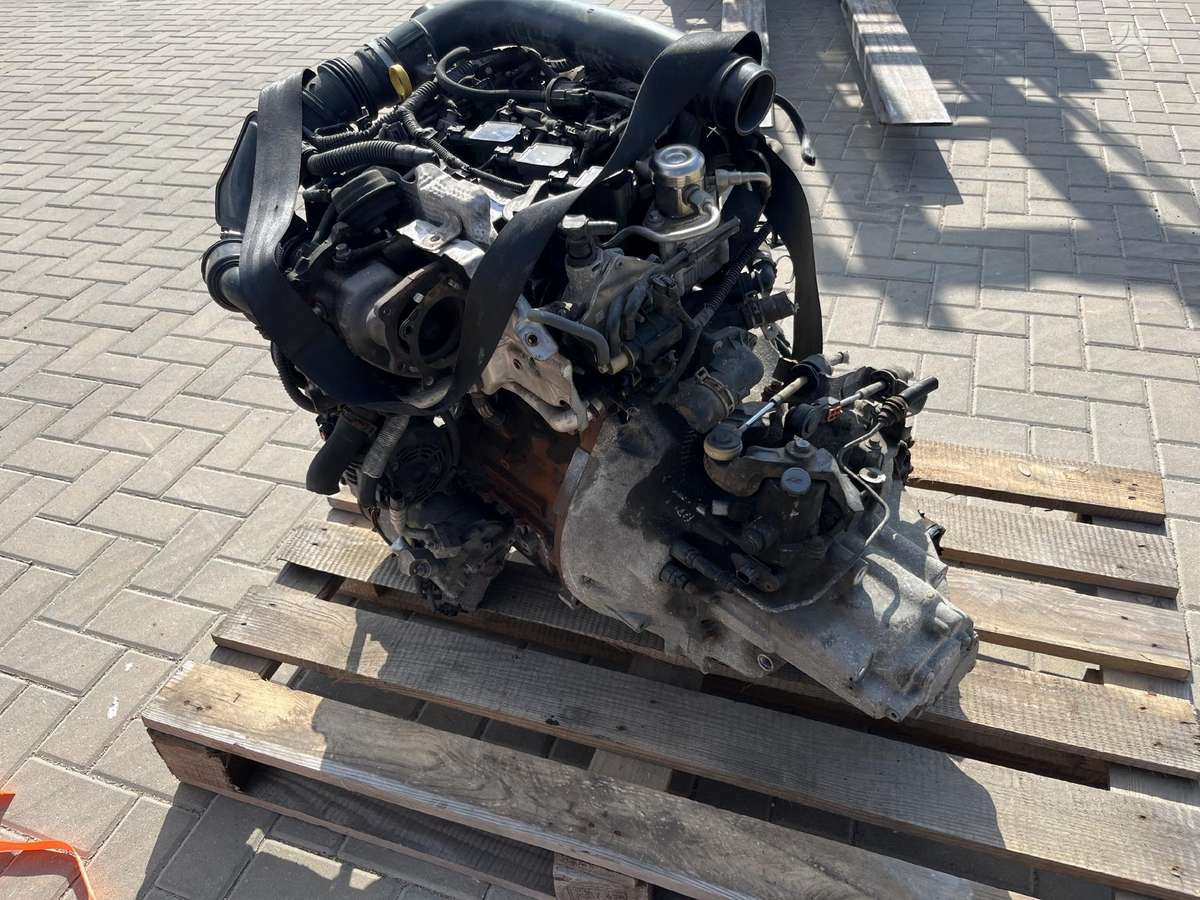 Ford B-MAX Tik variklis