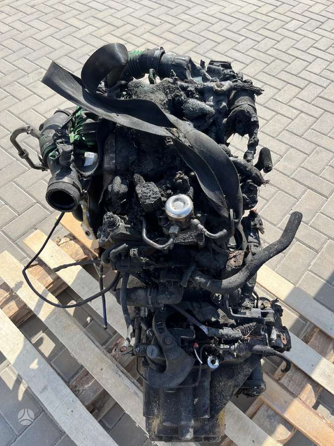 Ford B-MAX Tik variklis