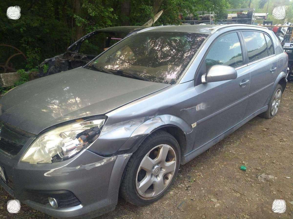 Opel Signum