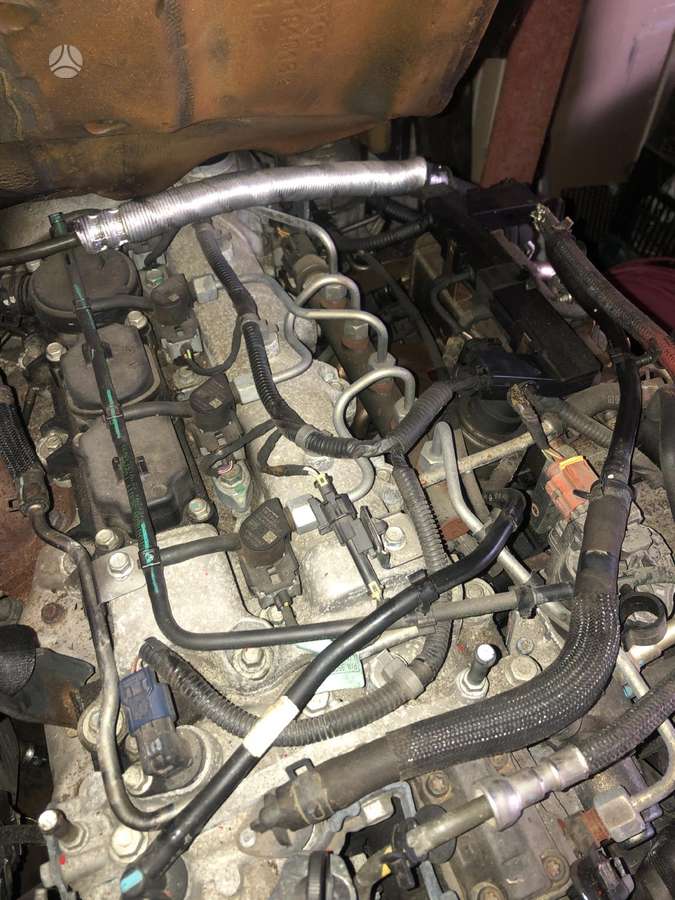 Opel Antara, Z22d1, variklis