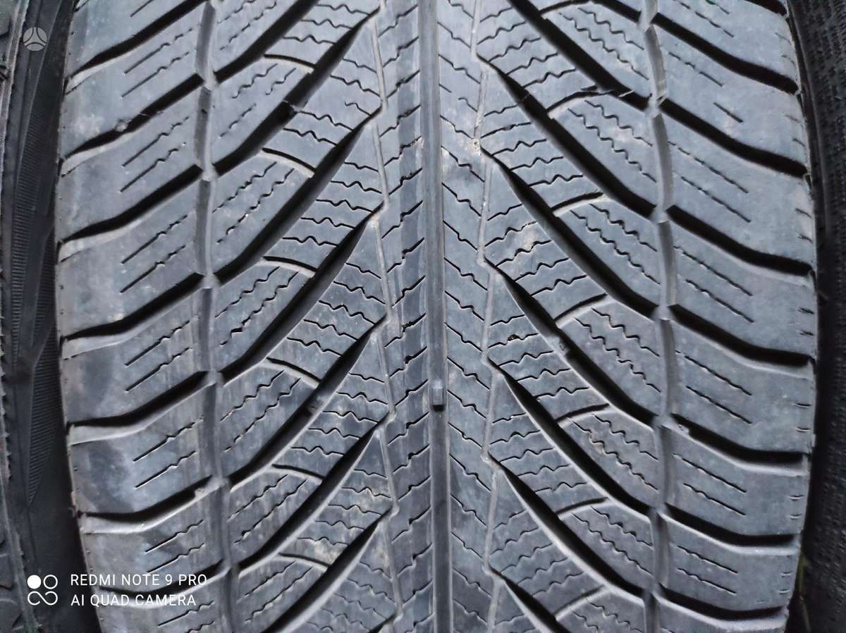 Goodyear, žieminės 245/45 R19