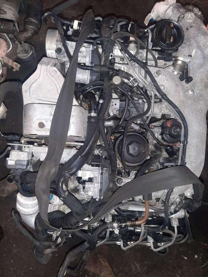 Volkswagen Phaeton, variklio kodas CAR