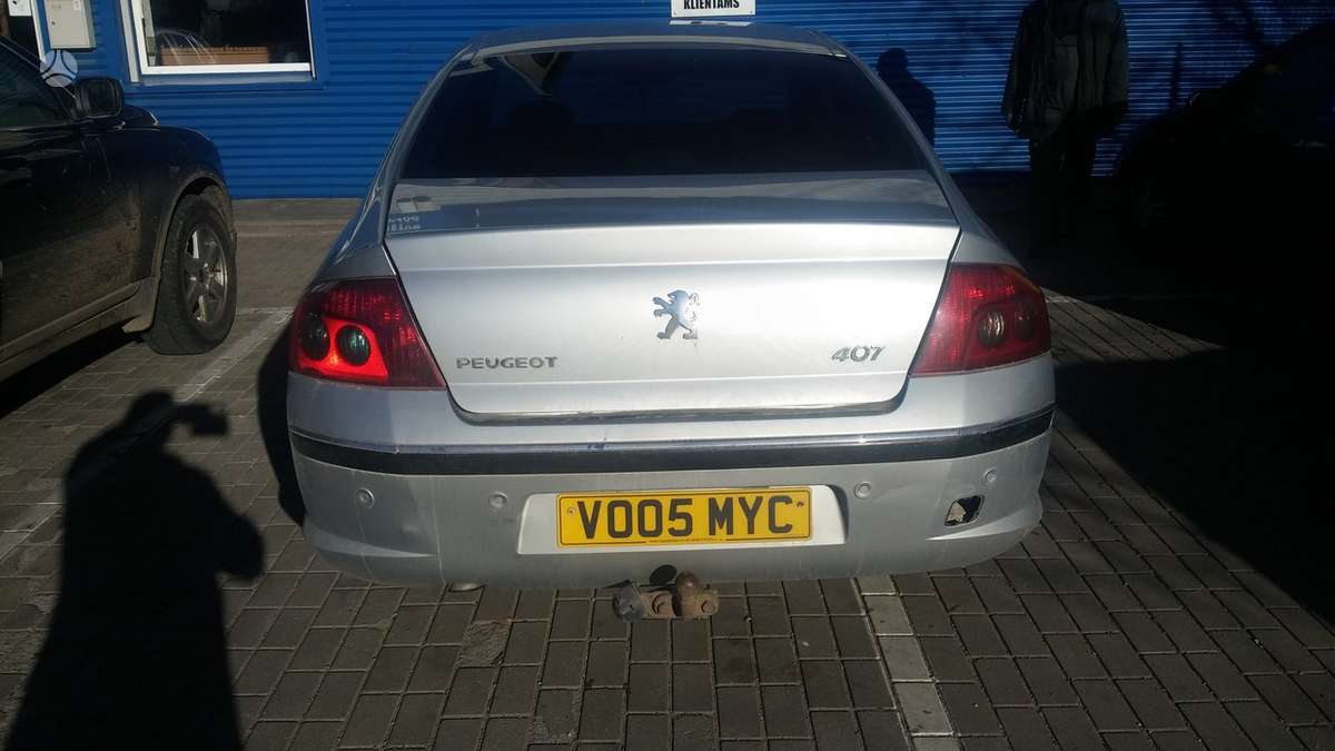 Peugeot 407 dalimis