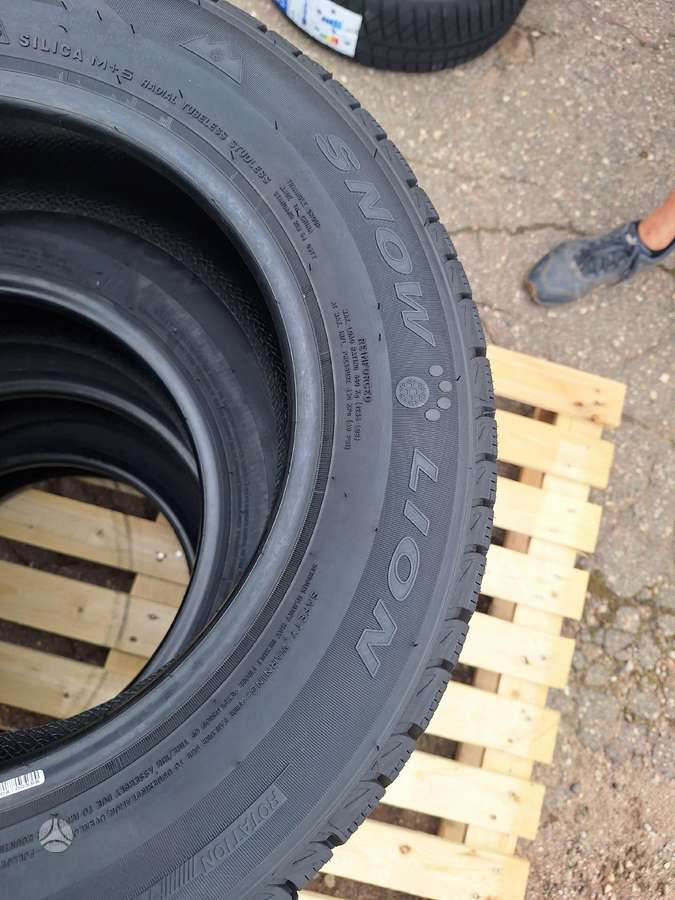 Triangle, žieminės 175/70 R14