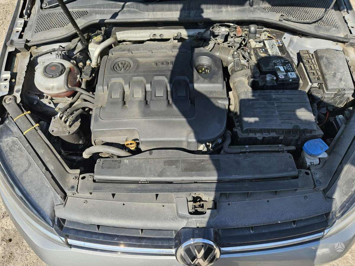 Volkswagen Golf dalimis