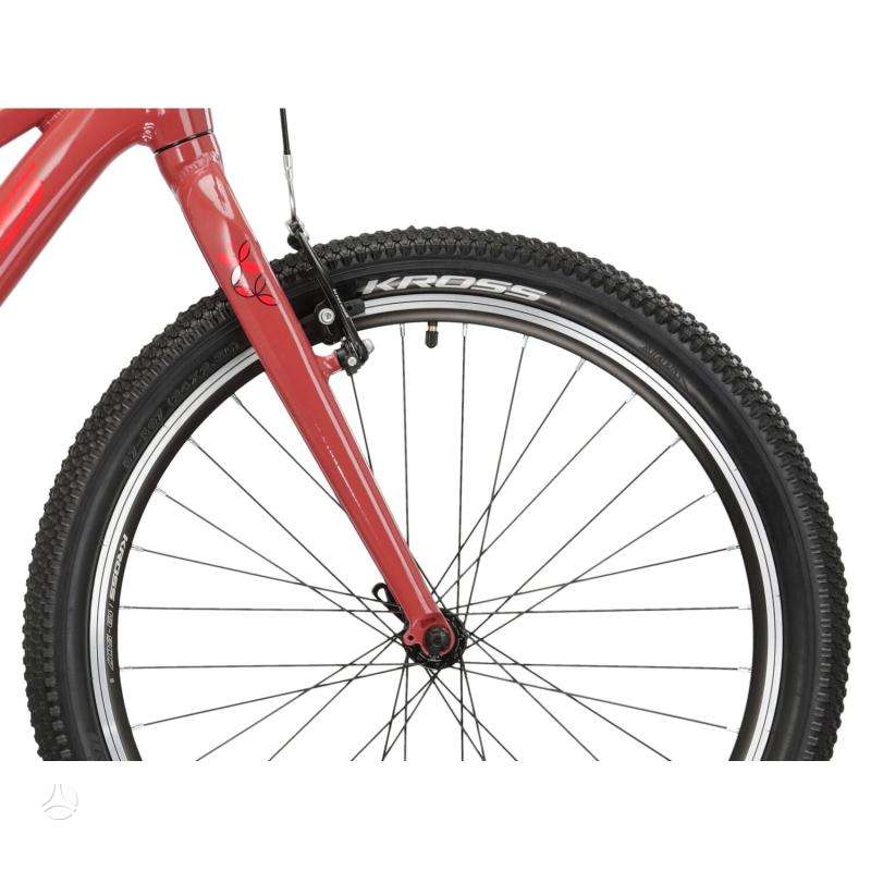 Mountain bike Kross