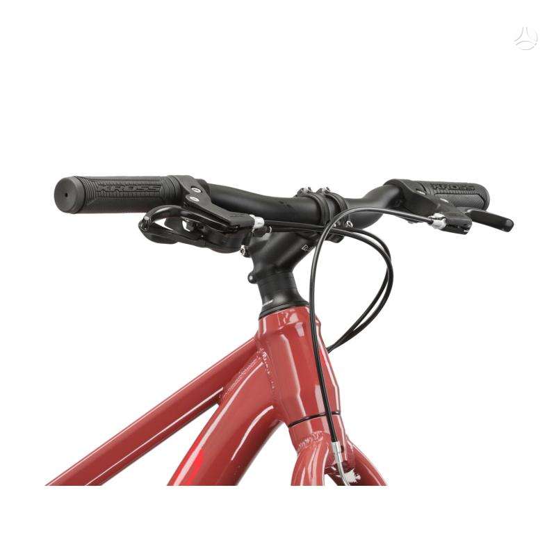 Mountain bike Kross