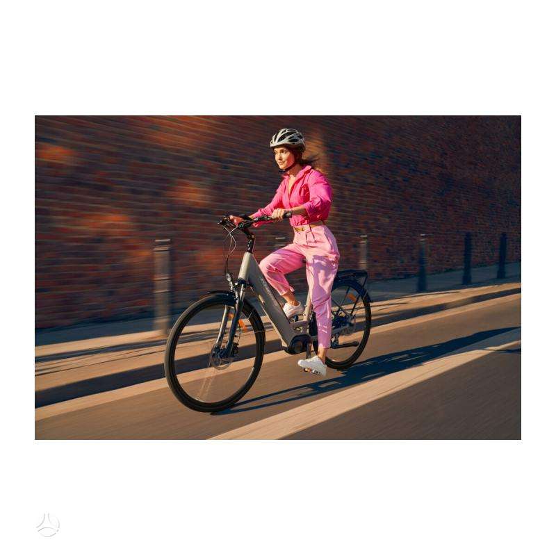 Electric bike Kross