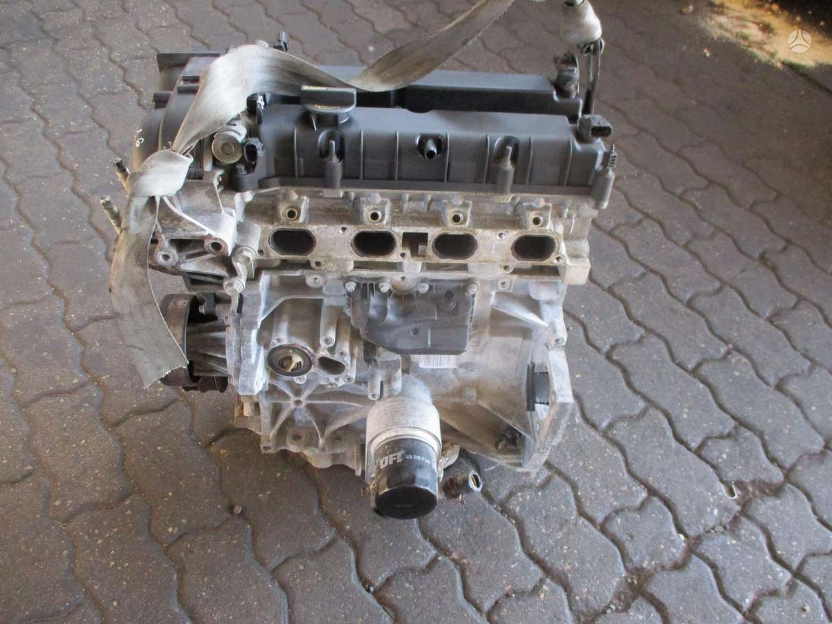 Ford Focus Variklis 1 6b pnda
