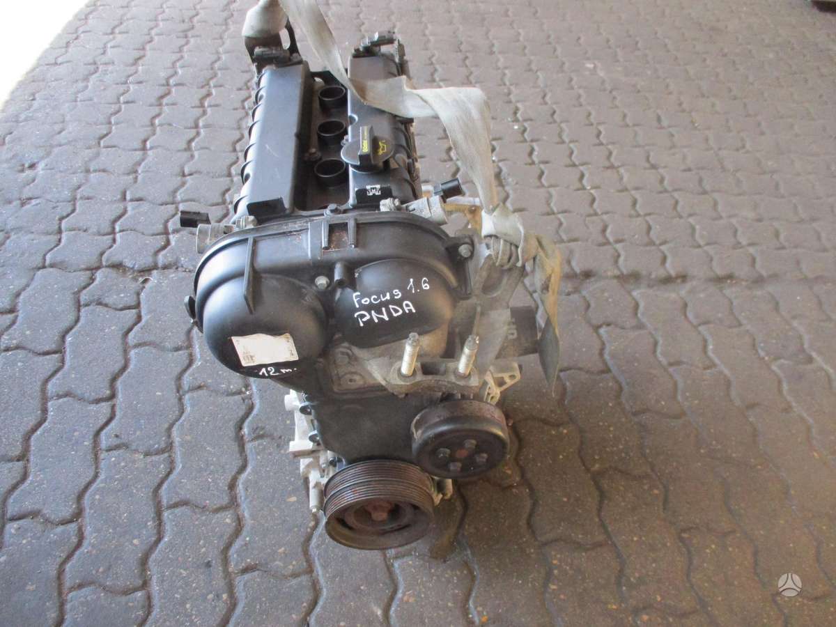 Ford Focus Variklis 1 6b pnda