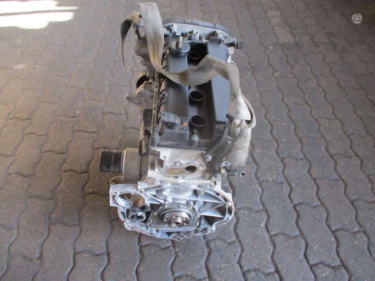 Ford Focus Variklis 1 6b pnda