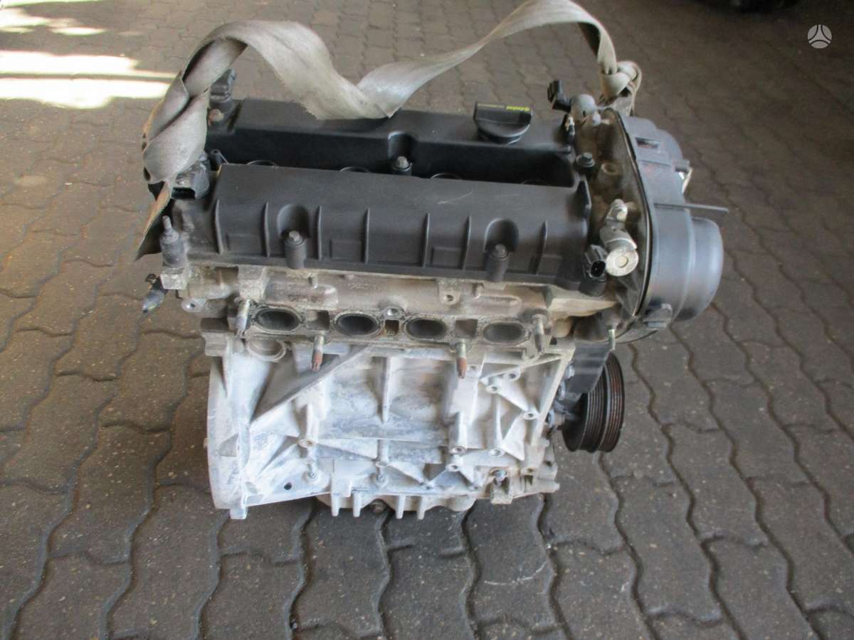 Ford Focus Variklis 1 6b pnda