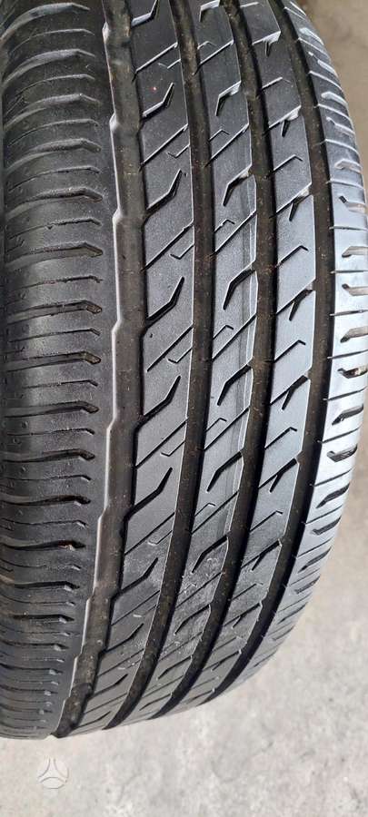 Semperit, vasaras 195/55 R16