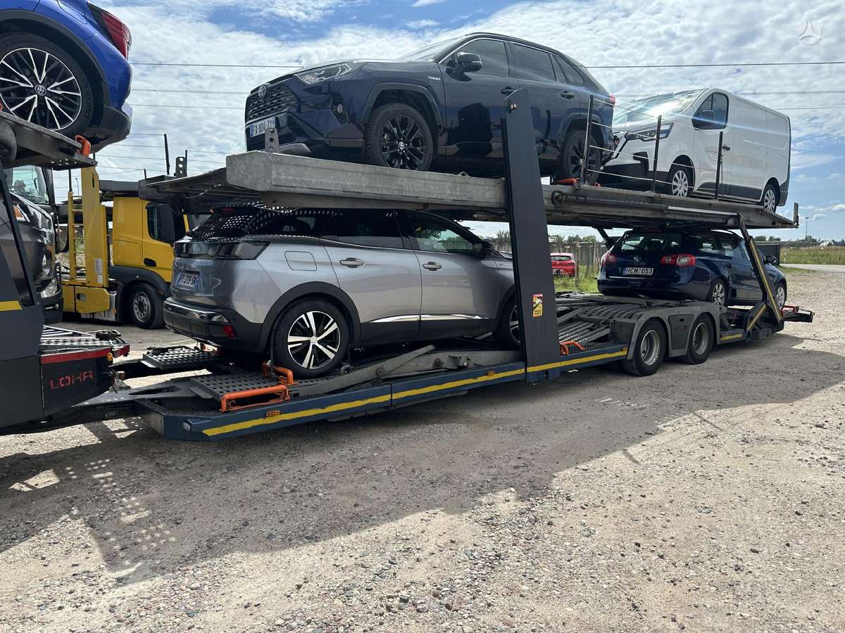 DAF 530, auto transporters