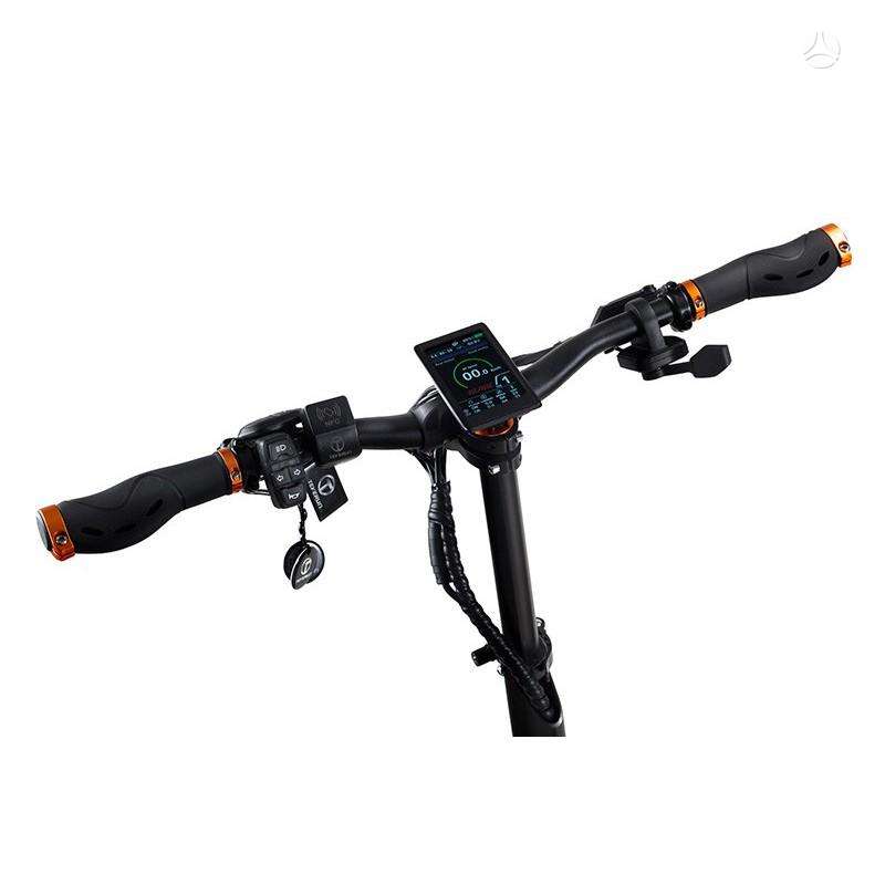 Electric scooter Beaster