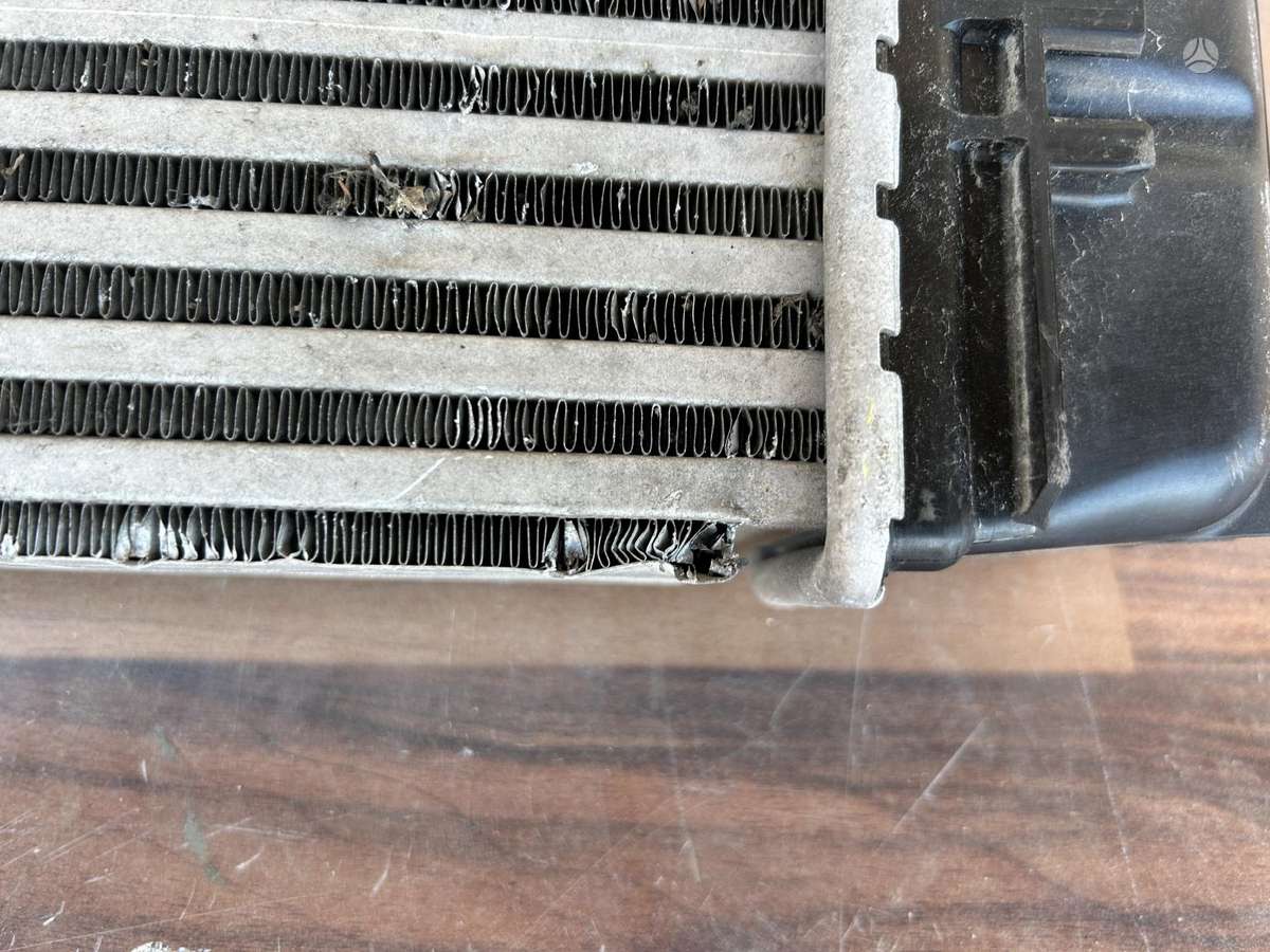 Nissan Juke, 144961019T, Cen19763
