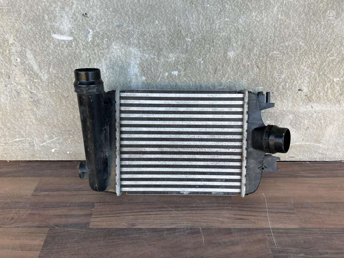 Nissan Juke, 144961019T, Cen19763