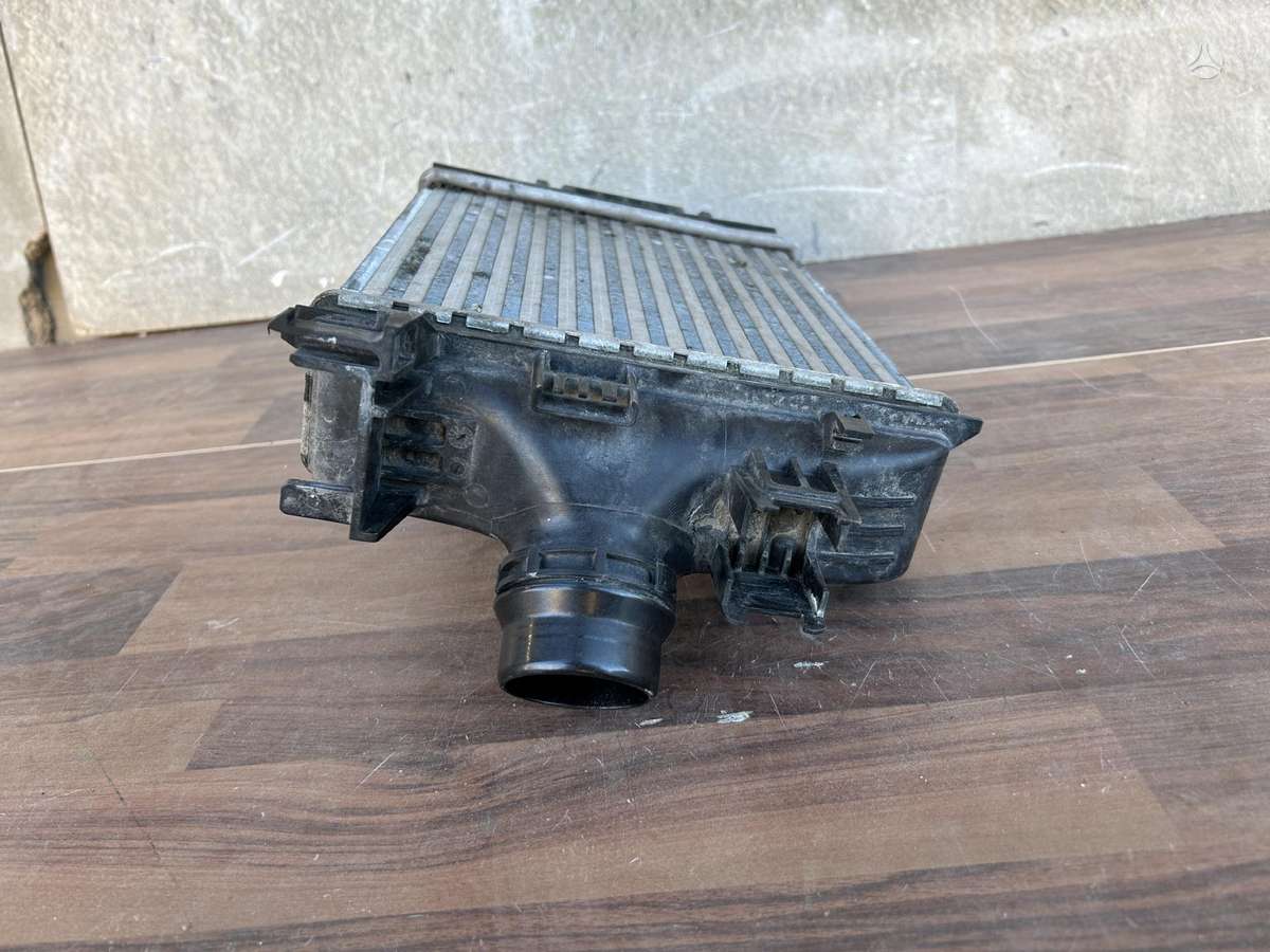 Nissan Juke, 144961019T, Cen19763