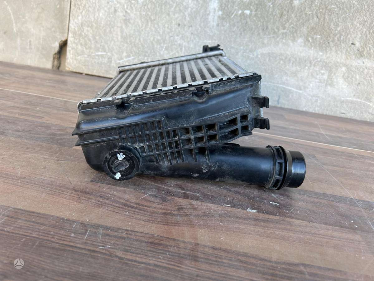 Nissan Juke, 144961019T, Cen19763
