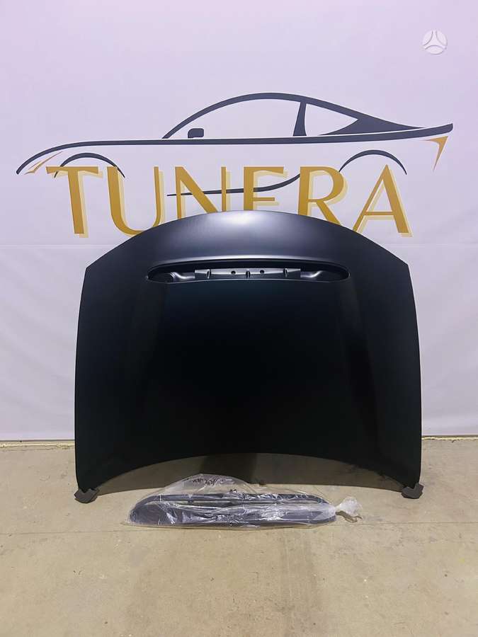 Dodge Charger hood (front, rear)