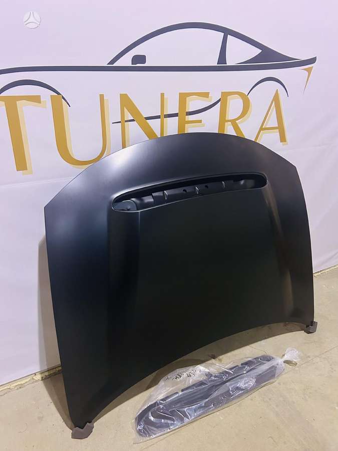 Dodge Charger hood (front, rear)