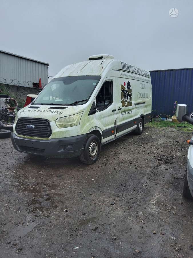 Ford Transit, грузовые микроавтобусы