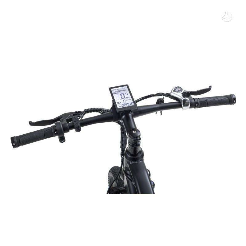 Electric bike Beaster