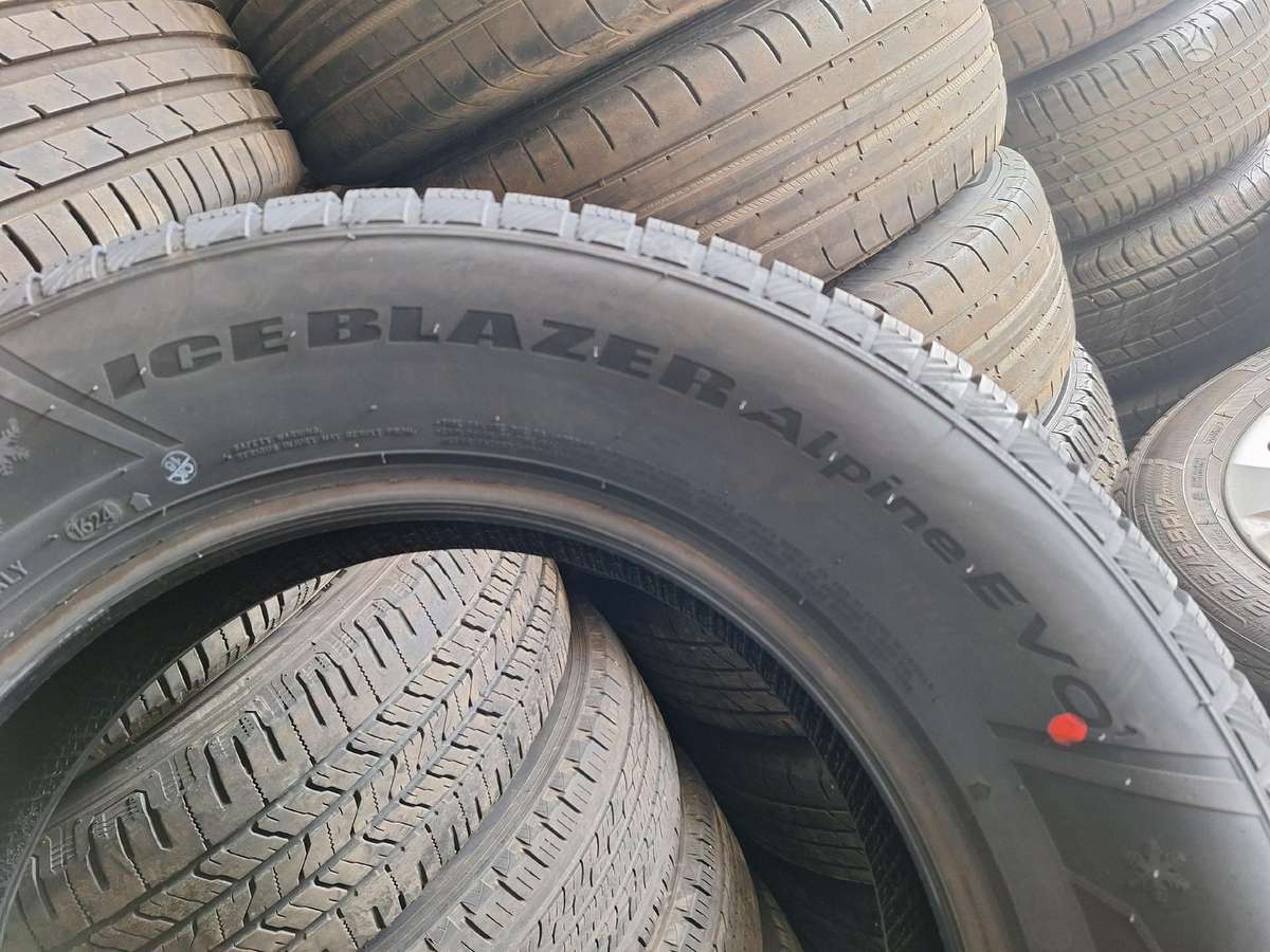 Sailun, žieminės 225/65 R17