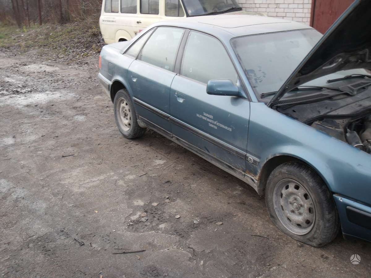 Audi 100 Dalimis