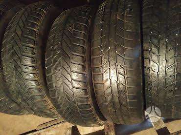Continental, universalios 175/65 R14