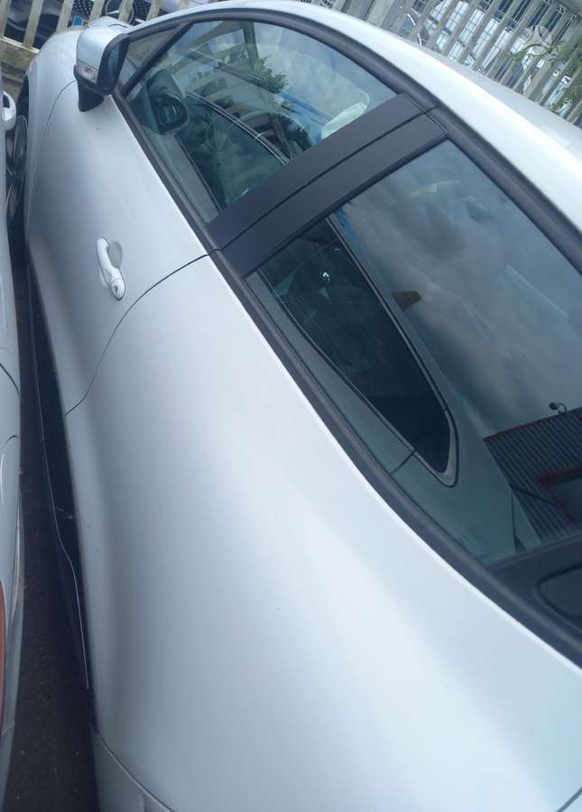 Renault Clio dalimis