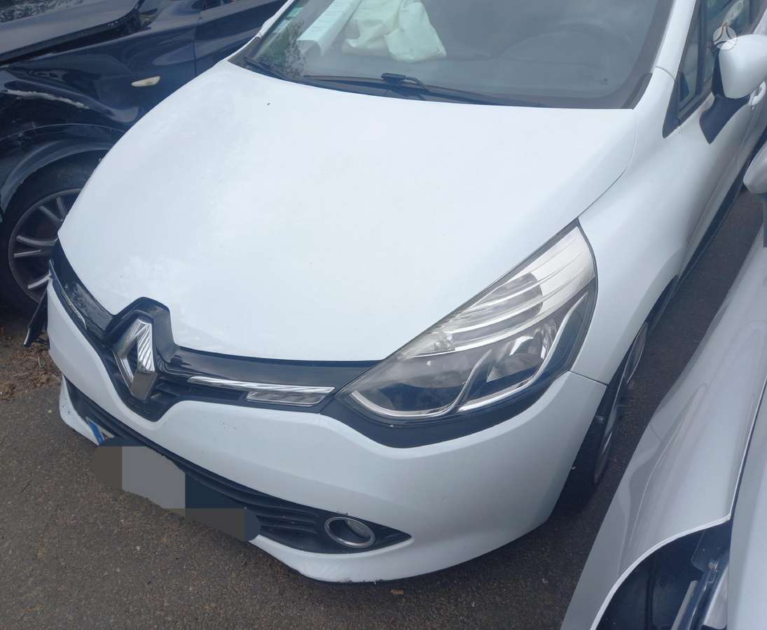 Renault Clio dalimis
