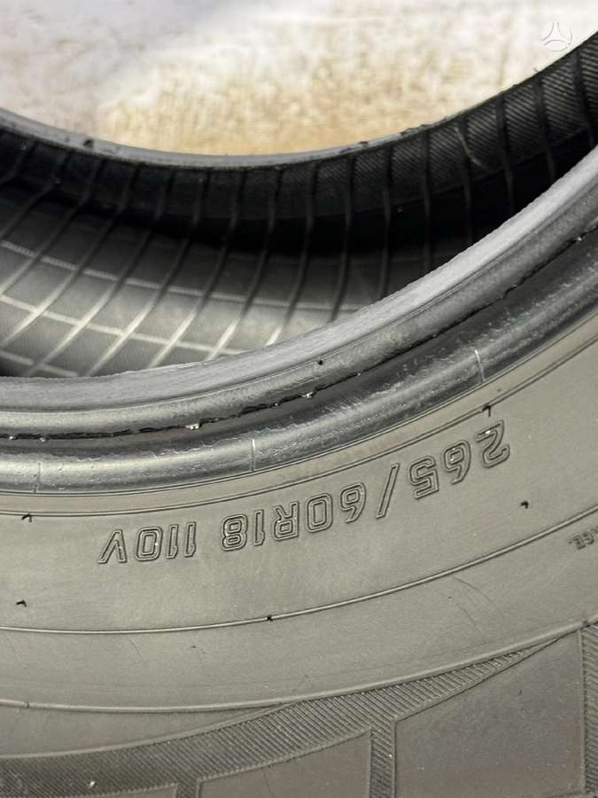 Falken EUROWINTER HS449, зимние 265/60 R18