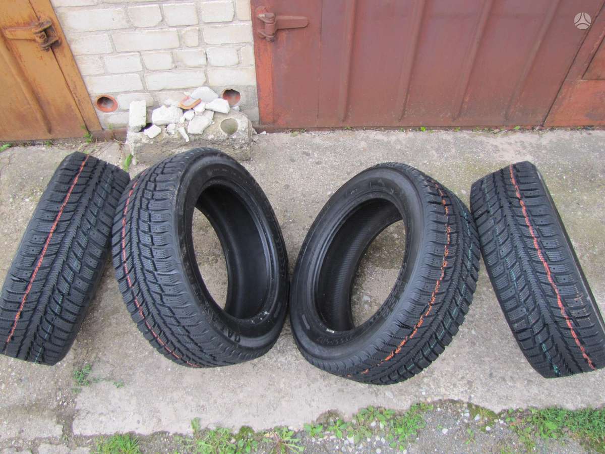 Agi ECOOPONY GALAXIE MS2, winter 215/55 R16