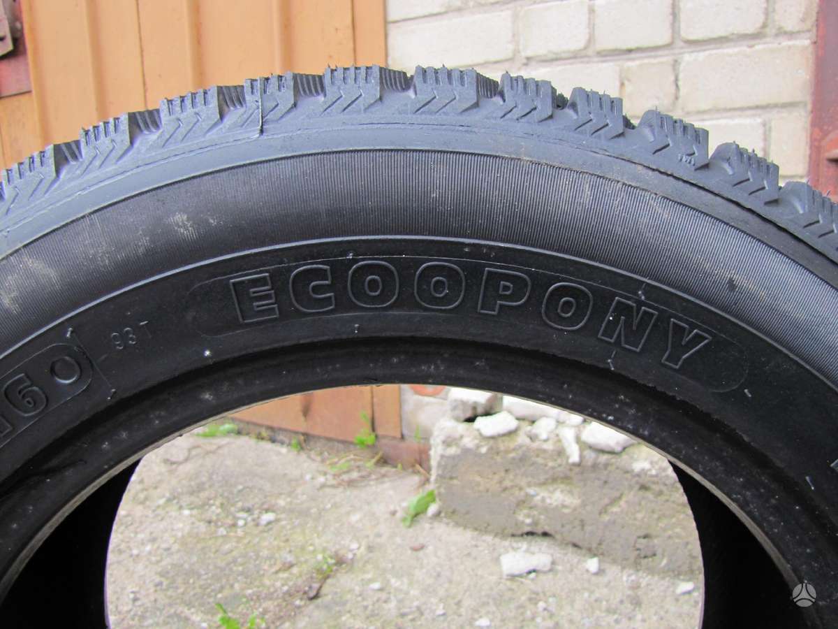 Agi ECOOPONY GALAXIE MS2, winter 215/55 R16