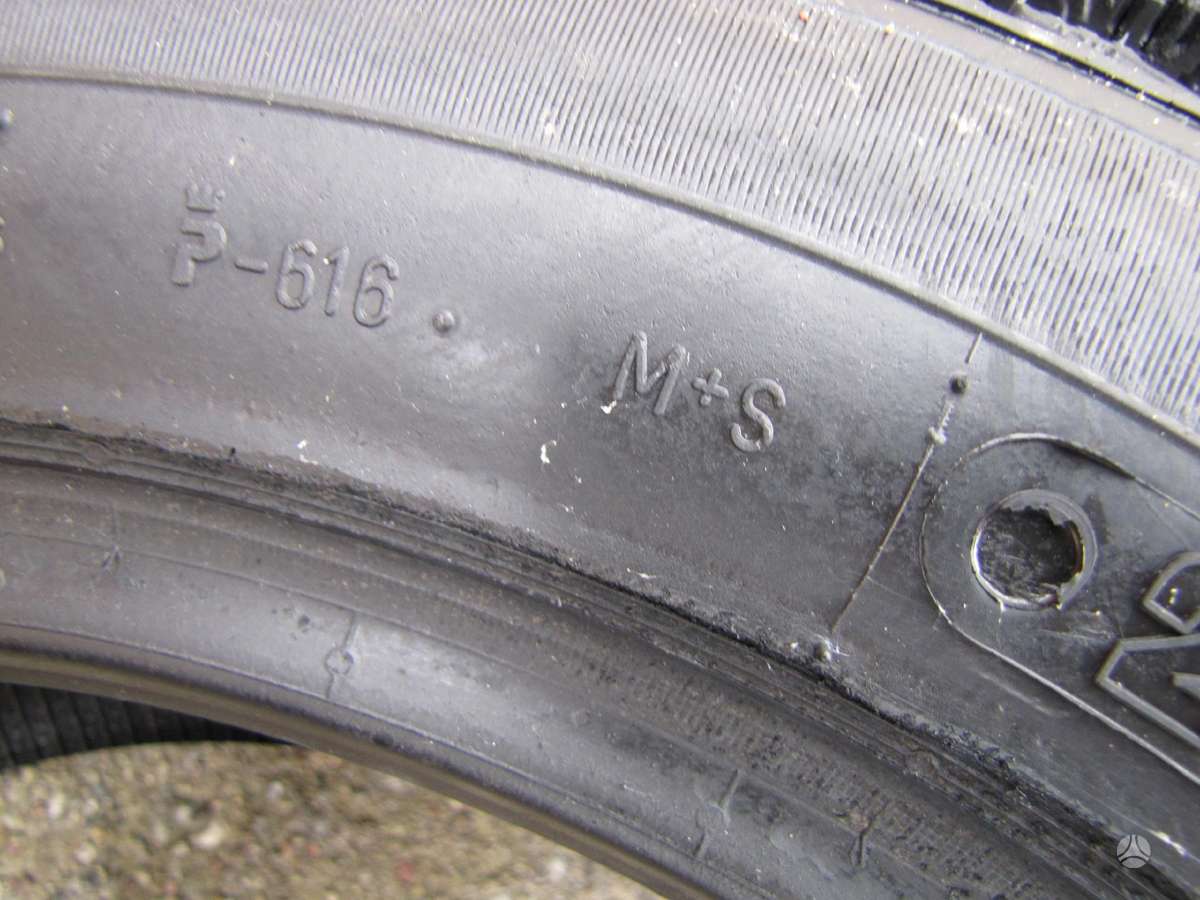 Agi ECOOPONY GALAXIE MS2, winter 215/55 R16