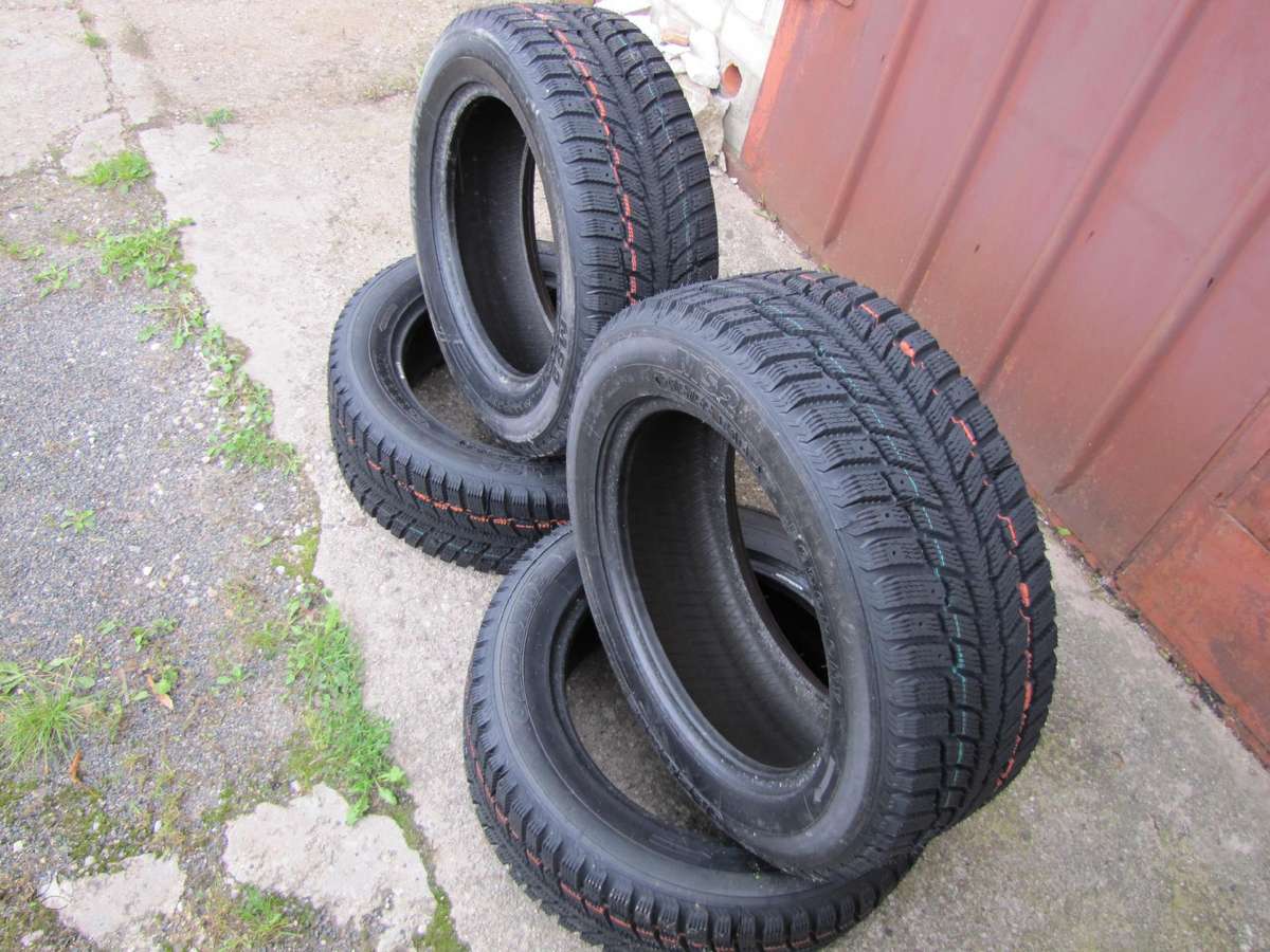 Agi ECOOPONY GALAXIE MS2, winter 215/55 R16