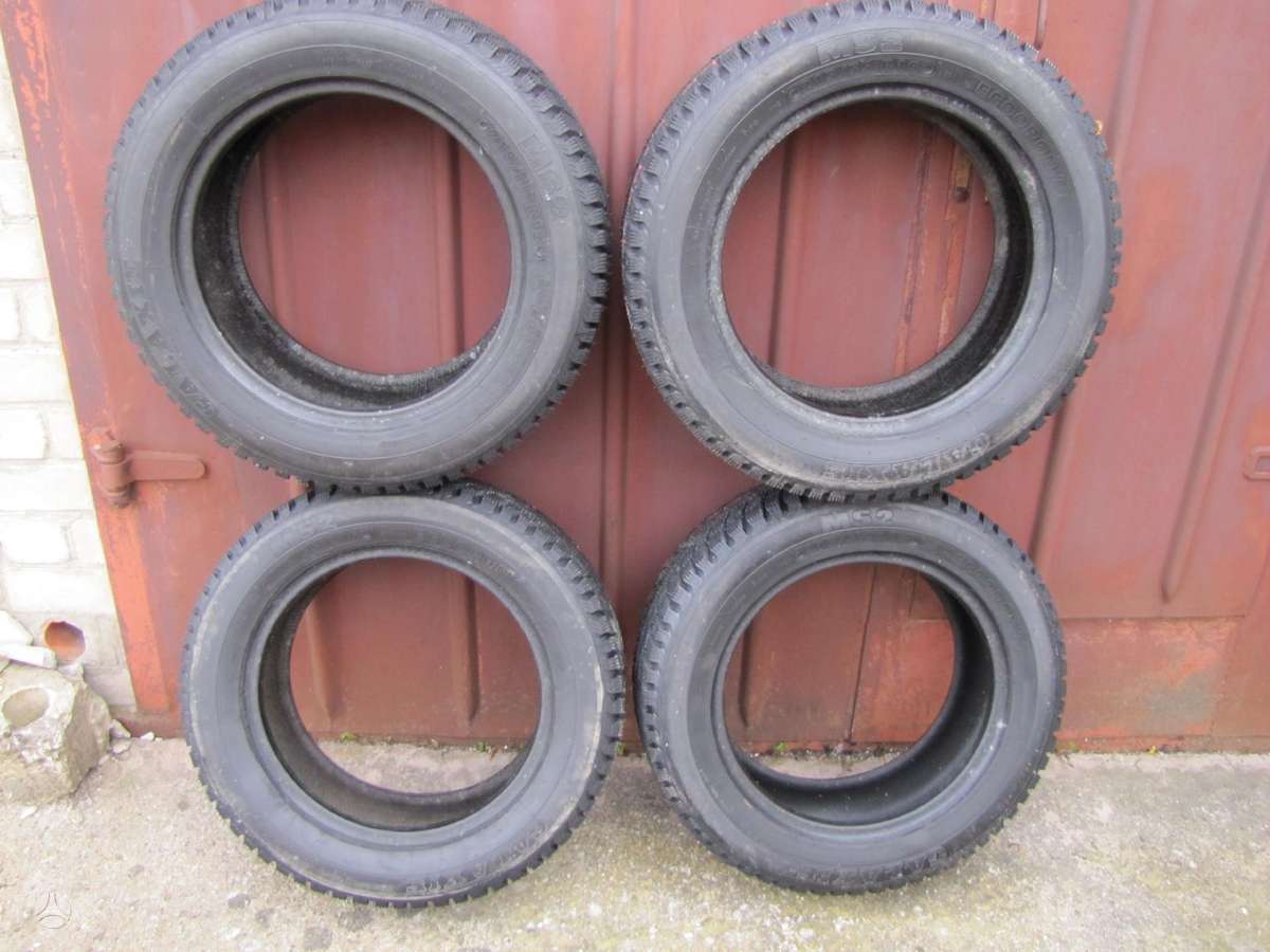 Agi ECOOPONY GALAXIE MS2, winter 215/55 R16