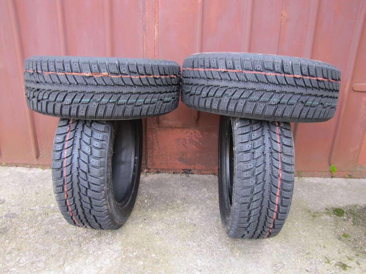 Agi ECOOPONY GALAXIE MS2, winter 215/55 R16