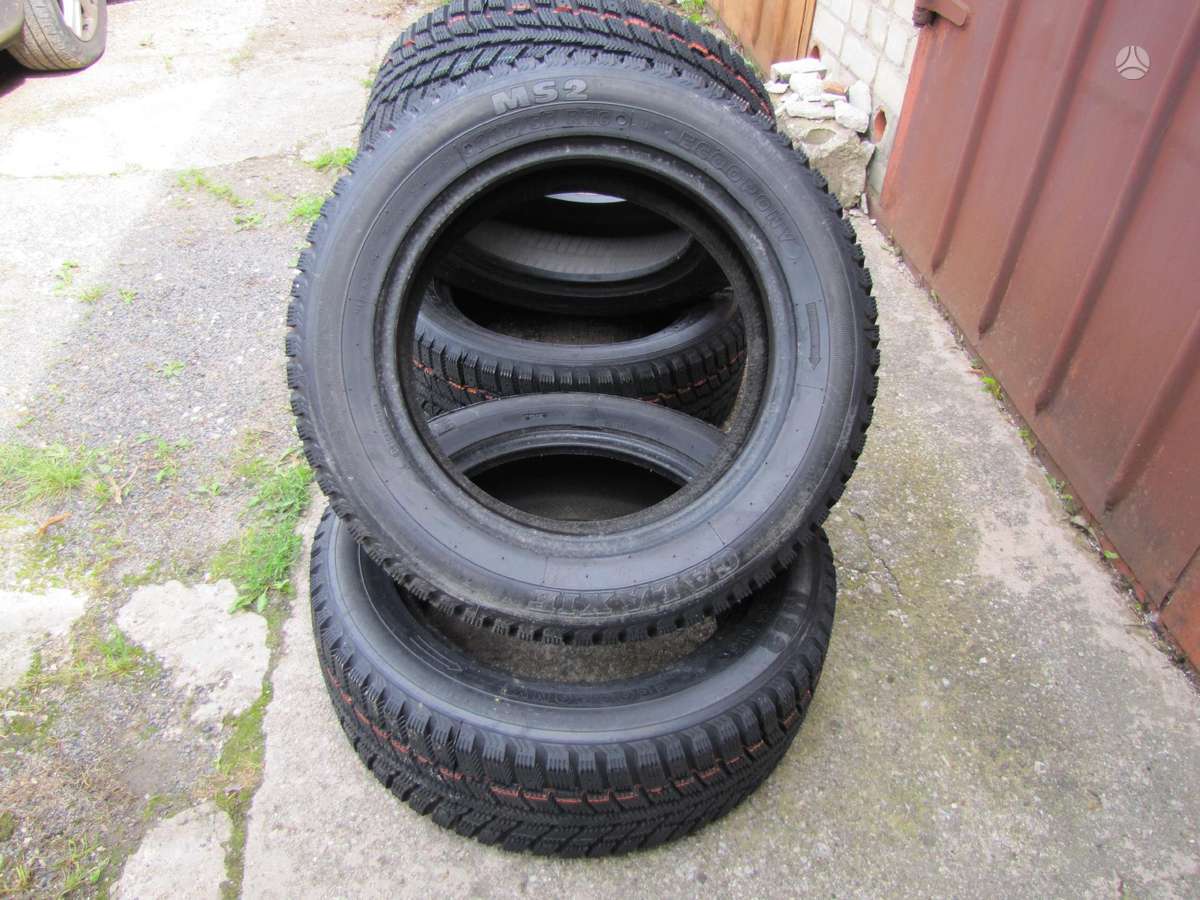 Agi ECOOPONY GALAXIE MS2, winter 215/55 R16