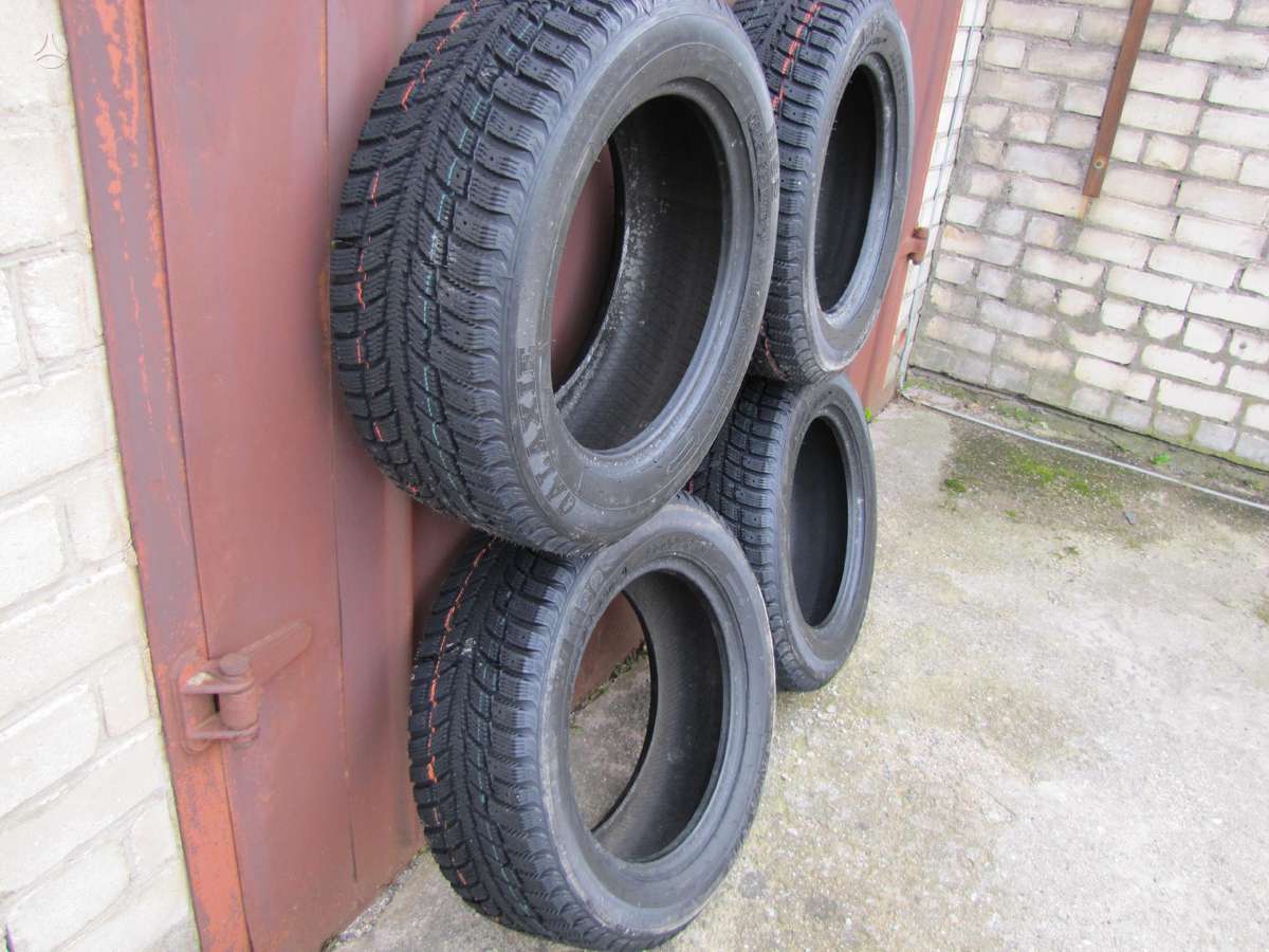 Agi ECOOPONY GALAXIE MS2, winter 215/55 R16