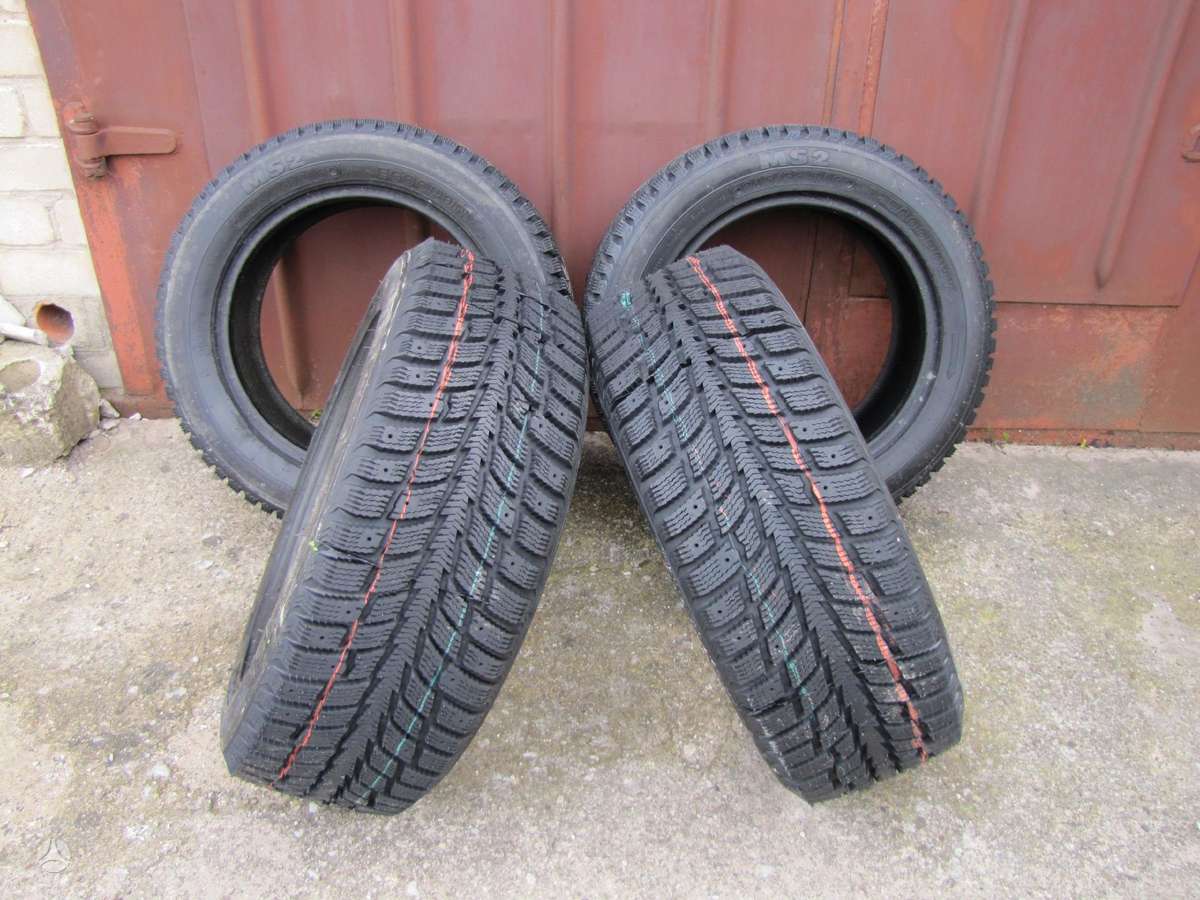 Agi ECOOPONY GALAXIE MS2, winter 215/55 R16
