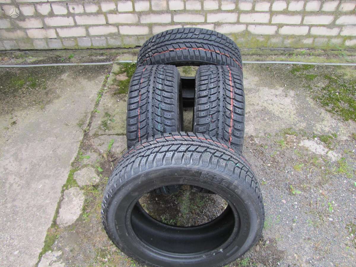 Agi ECOOPONY GALAXIE MS2, winter 215/55 R16