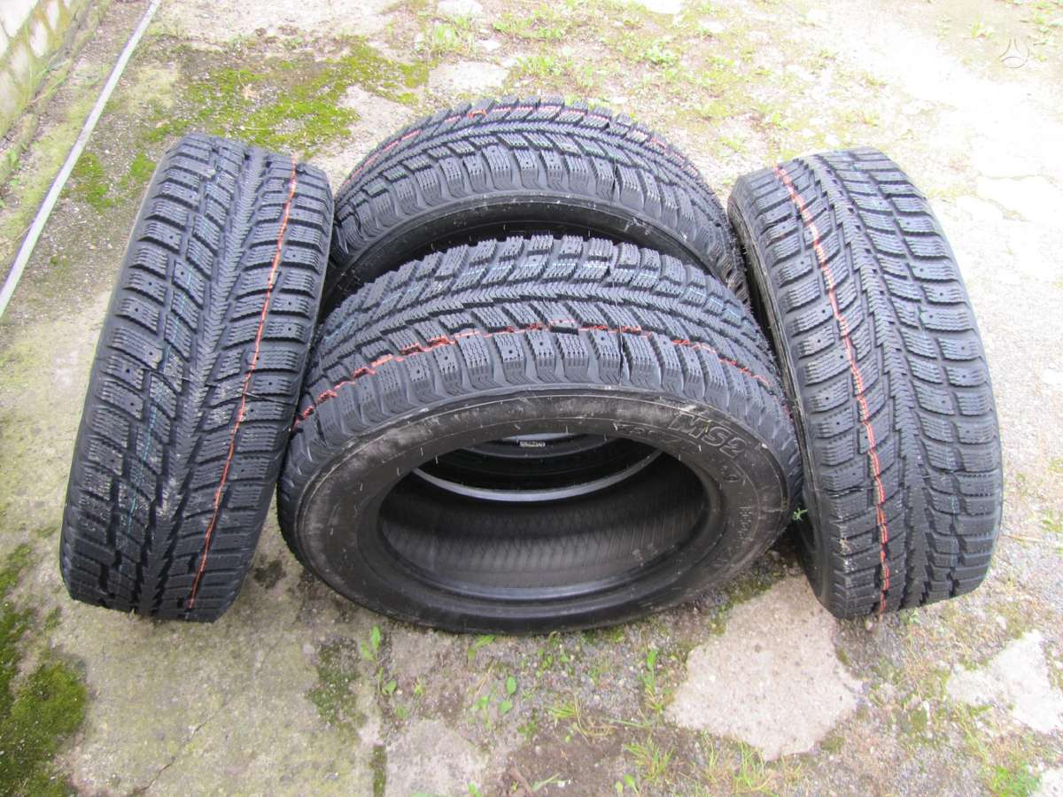 Agi ECOOPONY GALAXIE MS2, winter 215/55 R16