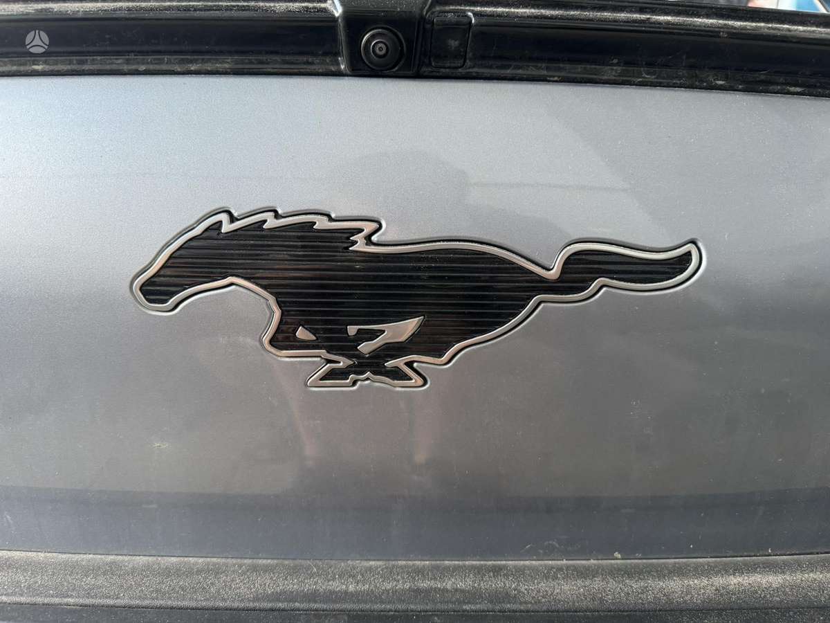 Ford Mustang Mach-E dalimis