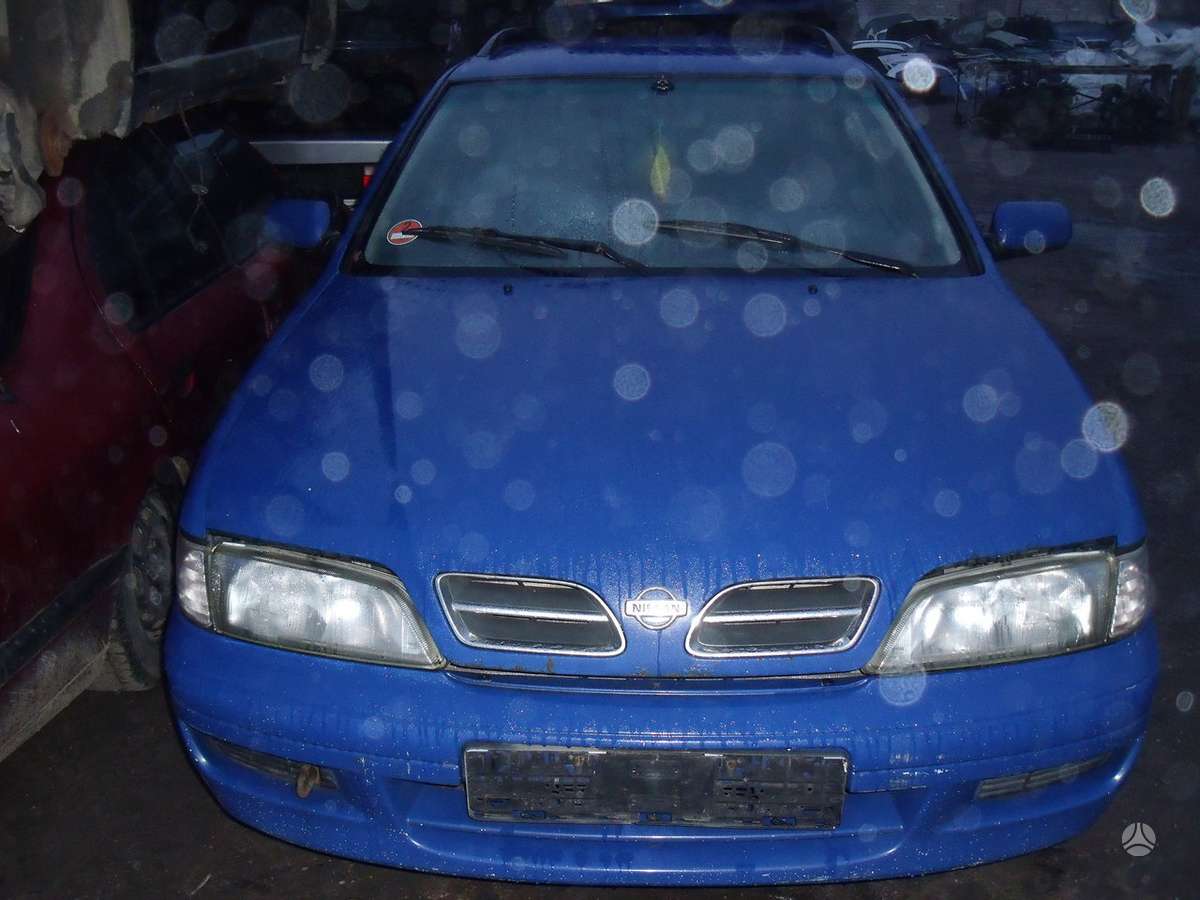 Nissan Primera Dalimis
