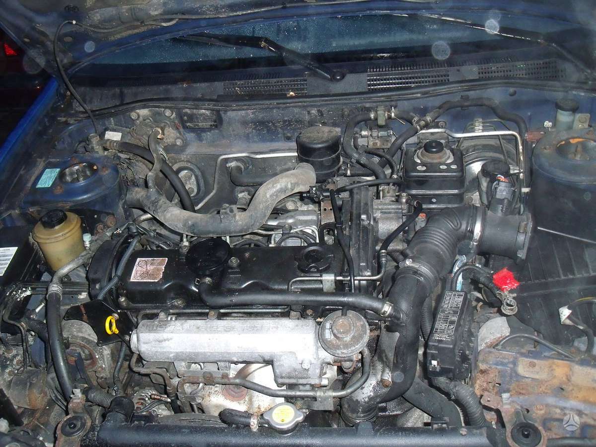 Nissan Primera Dalimis