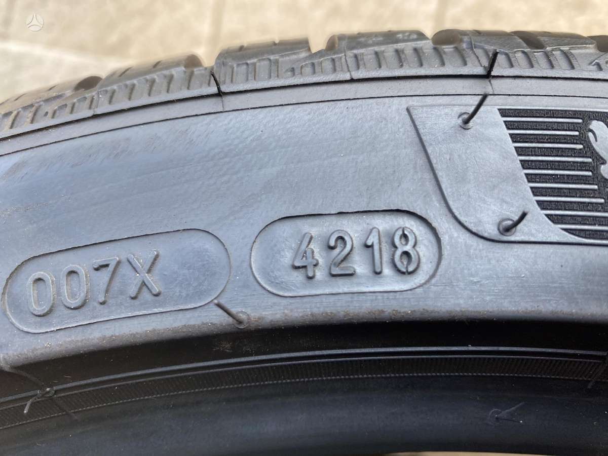 Michelin Pilot alpin 5, winter 295/30 R21