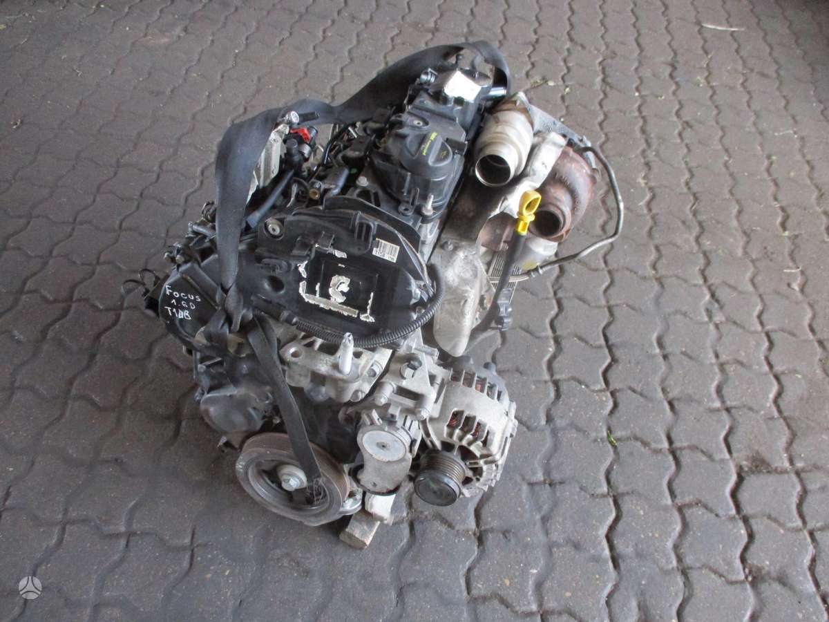 Ford Focus Variklis 1 6d t1db